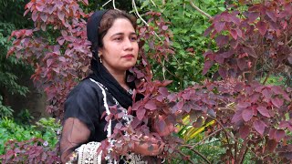 Daily vlogging VillageLife With Nazo Noor Pakistani Family VillageGirl FamilyFun [upl. by Nahtannhoj957]