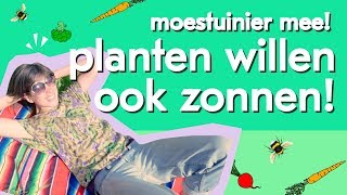 Waarom hebben planten zonlicht nodig  Moestuinier mee [upl. by Eidda]