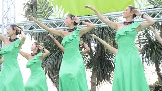 Kipuka Tiare Hula Group in Enoshima Hawaiian Holiday Aloha Sunset 2016 [upl. by Noret7]