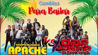 Tropicalisimo ApacheChicos De Barrio 🔥 Cumbia Para Bailar Mix 2024 [upl. by Peder]