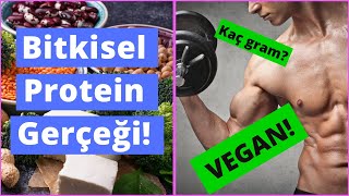 Kas Geliştirmede Bitkisel Protein Hakkındaki Gerçek Bitkisel vs Hayvansal Protein [upl. by Esom]