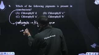 Which of the following pigments is present in cyanobacteria [upl. by Keene]