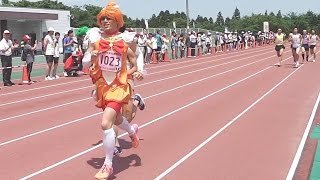 2015 名和マラソンフェスタ スタート（ハーフ 10ｷﾛ 5ｷﾛ 17ｷﾛ） [upl. by Thane]