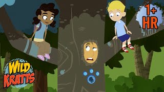 Martin Gets Turned into a Tree  New Compilation  Wild Kratts [upl. by Adriaens]