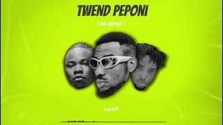 Twende peponi by DANBOY bj ft M4 official x D foreign lyrics video [upl. by Ennovi434]