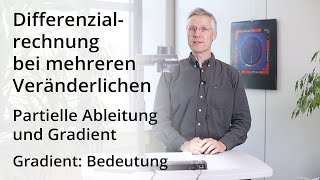 Differentialrechnung bei mehreren Veränderlichen  Gradient Bedeutung [upl. by Finnie744]