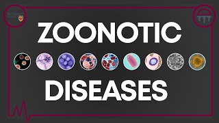 Demystifying Zoonotic Diseases [upl. by Petulah]