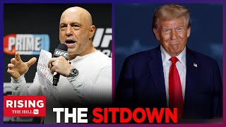 Joe ROGAN To Host Donald Trump Friday Liberals FUME [upl. by Lacombe226]