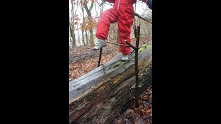 Schnitzeljagd im Wald Spontan und auch bei Wanderungen perfekt [upl. by Farant625]