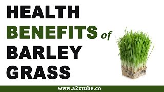 Health Benefits of Barley Grass [upl. by Trebeh]