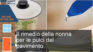 Rimedio della nonna per le pulci come liberarsene [upl. by Ehcar]