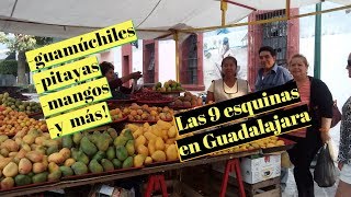 GUAMÚCHILES  PITAYAS  MANGOS  LAS 9 ESQUINAS EN GUADALAJARA  Lorena Lara [upl. by Smoht]