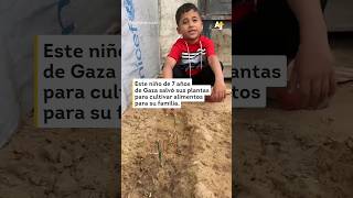 Niño salva plantas para alimentar a su familia en Gaza shorts [upl. by Tracie444]