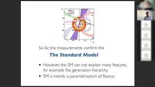 The Flavour Problem  Beyond the Standard Model 2  7  Prof Dr Admir Greljo [upl. by Obbard]