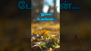 🌳நல்ல செய்தி சந்தோஷம் தரும்Tamil news breaking  தமிழ் செய்திகள் TAMIL CHRISTIAN SHORTS tpm tamil [upl. by Anitnatsnoc]