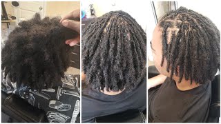 DETANGLING 8 Month Old Matted Dreadlocks 😳 [upl. by Yleoj642]