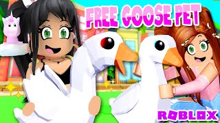 New 🦢GOOSE PETS 🦢 Update on Club Roblox [upl. by Dibru]