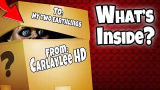 Carlaylee Mystery Box Whats Inside Is Annabelle Inside the Mystery Box [upl. by Wittie]