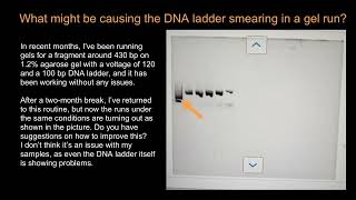 What might be causing the DNA ladder smearing in a gel run [upl. by Notlek424]