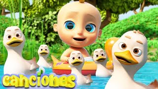 Cinco Patitos  Canciones Infantiles LooLoo  Videos para Bebés  Canciones divertida para niños [upl. by Elmo]