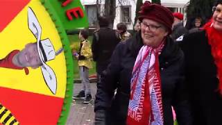 Grote carnavalsoptocht in Meijel 2019 [upl. by Festatus]