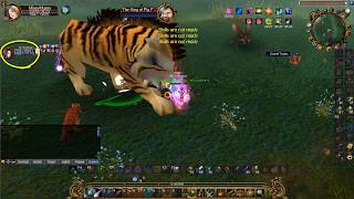 Talisman Online Special Boss The King of Pig Face Cat City [upl. by Hubert]