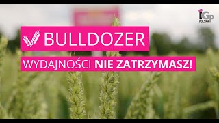 🌱 Pszenica ozima BULLDOZER [upl. by Bury]