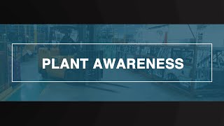 Autokiniton  Plant Awareness [upl. by Igig568]