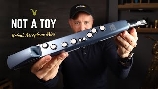 Sax in Your Pocket Roland Aerophone Mini Review [upl. by Leticia]