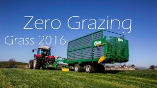 Zero Grazing  Grass 2016 Has Begun [upl. by Sanders]