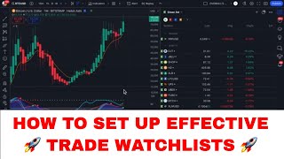 How to Set Up Effective Trade Watchlists A Beginner’s Guide [upl. by Eiramanad368]