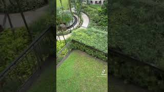 Penang island Malaysia holiday tiktok music fyp [upl. by Onahpets114]