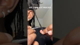 Watch me comb out a loc on average 1 loc takes 20 mins locs naturalhair [upl. by Yasu]