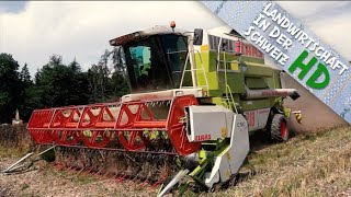 ERNTE SPEZIAL  Bohnen und Lupinen dreschen  Claas Mega 218 Dominator [upl. by Ahtan]