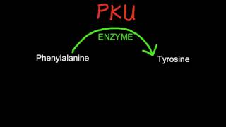 A15 Explain the causes and consequences of phenylketonuria PKU [upl. by Winny]