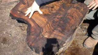 Claro Walnut Burl Cutting by OregonBurlscom [upl. by Dempstor]