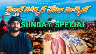 Vizag Fishing Harbour  Sunday Special Vlog  Har Har Vihari [upl. by Klemens]