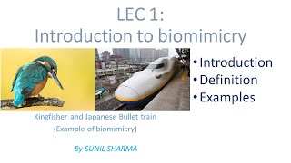 Lec 1  Introduction to Biomimicry WHAT IS BIOMIMICRYLESSONS FROM NATURE [upl. by Ariahaj580]