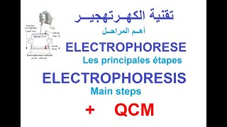 Electrophorèse electrophoresis Etapes QCM [upl. by Winou]