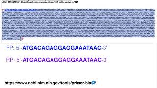 Biotechniques  Principles of Primer Design for Full Gene Amplification [upl. by Ahsenroc668]