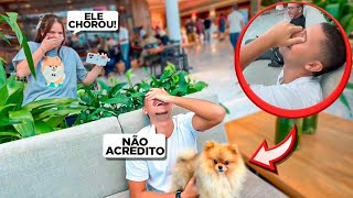 DEI UM CACHORRINHO PARA MEU NAMORADO  VIROU CENA DE NOVELA [upl. by Leahicm165]