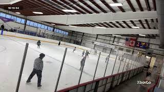 North Pittsburgh Wildcats 10u3garraux v Boston Imperials  Niagara Falls Dwyer Arena [upl. by Chaney]