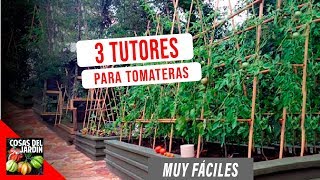 COMO GUIAR TOMATES Y ENTUTORADO  FACIL Y ECONOMICO ft en20metros [upl. by Jennee257]