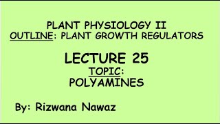 Polyamines by Rizwana Nawaz [upl. by Allemap]