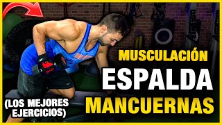 🔴 Los Mejores Ejercicios MANCUERNAS ESPALDA  GUIA MUSCULACION ESPALDA CON MANCUERNAS [upl. by Bernardina]