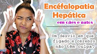 ENCEFALOPATIA HEPÁTICA EM CÃES E GATOS [upl. by Ennaisoj]