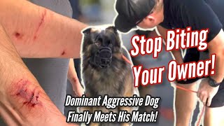 Aggressive amp Dominant GSD Attacks Trainer AND FINALLY MEETS HIS MATCH [upl. by Nirb267]