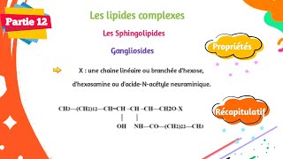 Biochimie  Structure des lipides  Partie 1213 [upl. by Gilbertine]