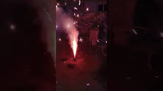 Happy diwali 💥kalari vlog [upl. by Esaj577]