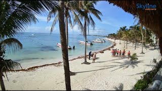 🔴 Recorded live footage from Akumal Bay  Mexico [upl. by Ahsiled]